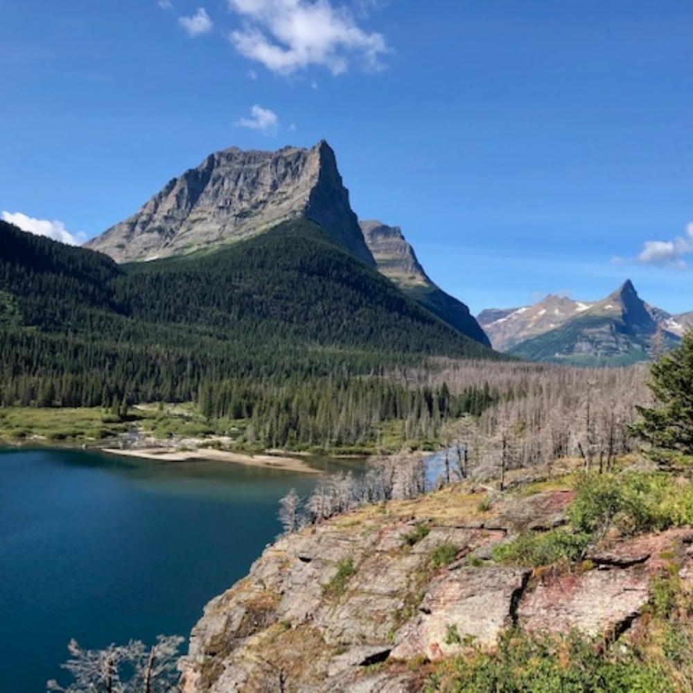 Meet your Posher, Jen